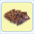 Thumbnail Image 1